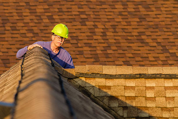 Best Storm Damage Roof Repair  in Cross City, FL